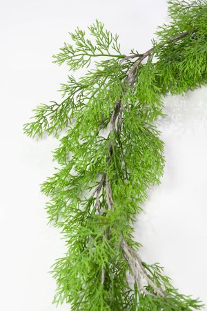 картинка Лиана кипариса светлая от магазина KALINA