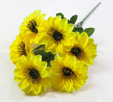 Букет "Пыжик" 6 цветков