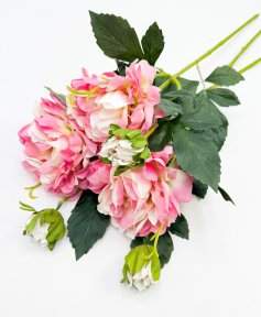 Пион "Герцогиня" розовый