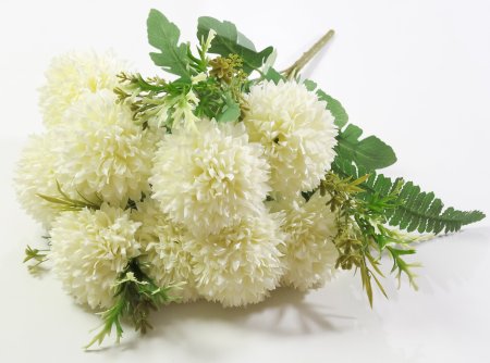 Хризантема "Ваниль" 12 веток