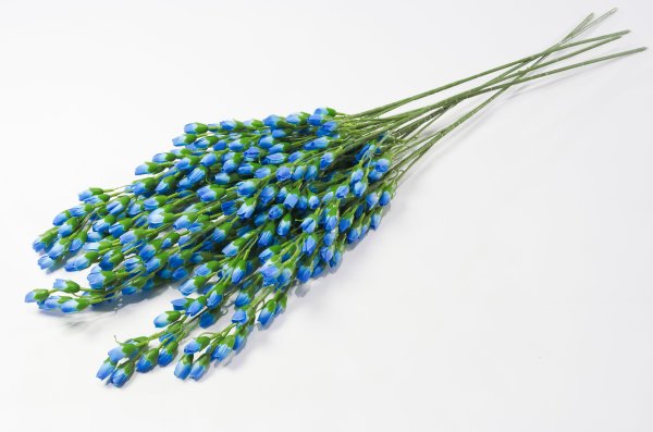 Ветка с мелкими тюльпанами