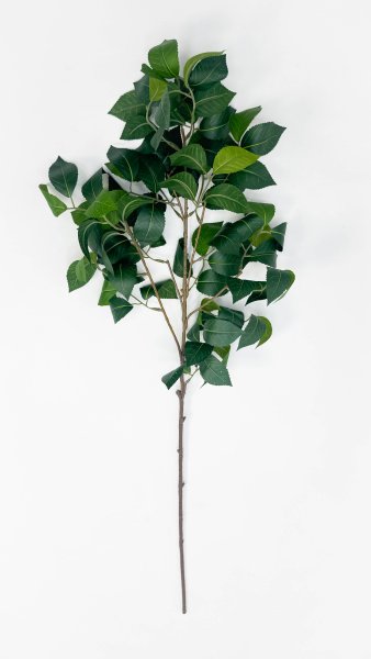 картинка Ветка с крупным резным листом высокая от магазина KALINA