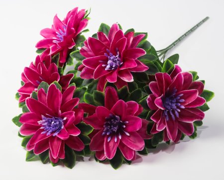 Букет георгина "Пава" 6 цветков