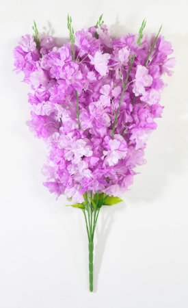 Ветка яблони "Неженка" 5 веток