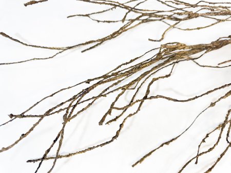 Ветка средняя коричневая