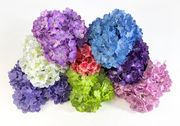 Гортензия 6 веток