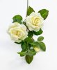 Роза "Радмира" белая