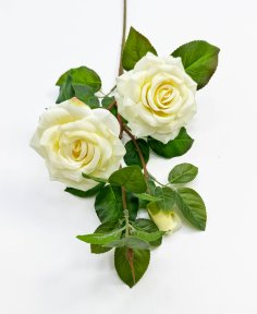 Роза "Радмира" белая