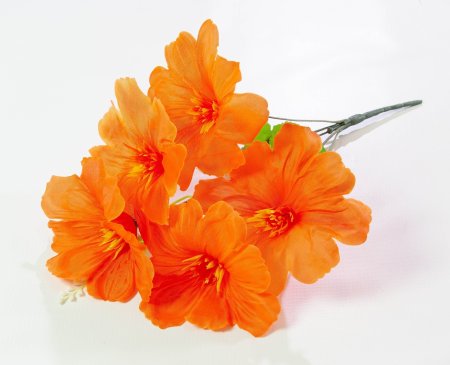 Лилия "Гиго" 5 веток