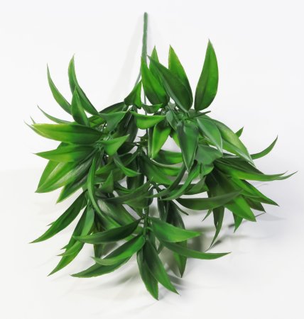 картинка Букет рускуса "Лето" от магазина KALINA