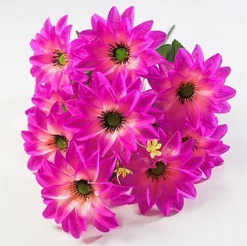 Астра "Жилка крупная" 9 цветков от магазина KALINA являющийся официальным дистрибьютором в России 