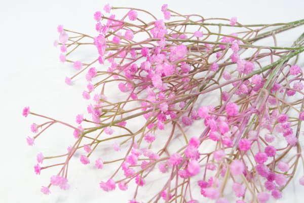 Ветка гипсофилы "Светло-розовый"