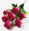 Роза "Катерина" 7 цветков