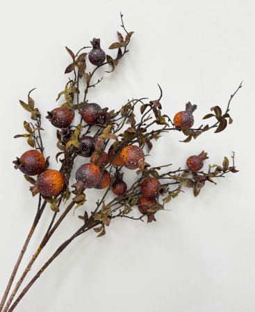 Гранат "Осень" 