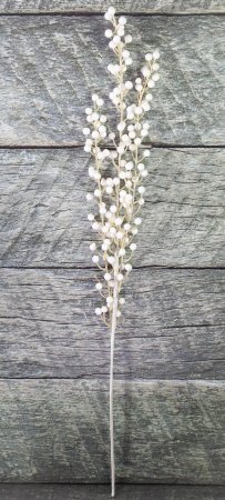 Ветка с ягодами