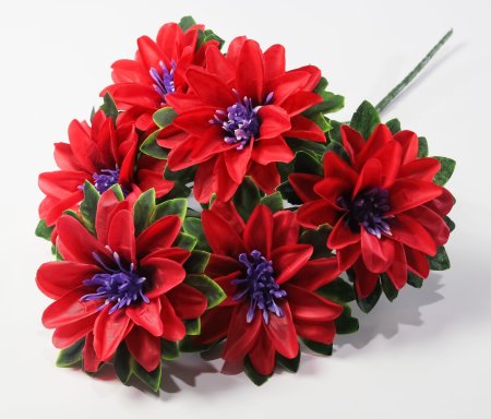 Букет георгина "Пава" 6 цветков