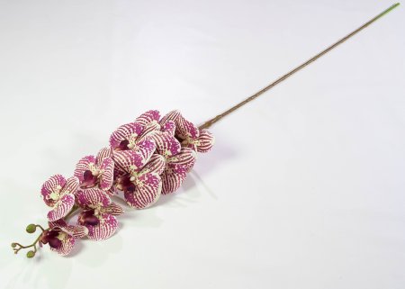 Ветка орхидеи 21
