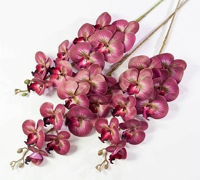 Ветка орхидеи 22 от магазина KALINA являющийся официальным дистрибьютором в России 