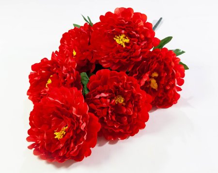 Пион Звездопад 6 цветков