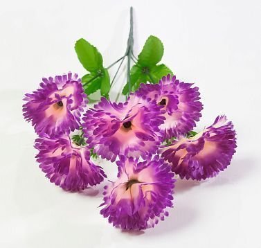 Букет гвоздик "Ривьера" 6 цветков от магазина KALINA являющийся официальным дистрибьютором в России 