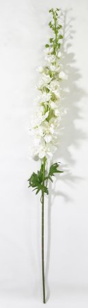 Ветка дельфиниума белая