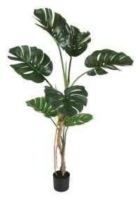 Куст монстеры крупнолистной 150 см