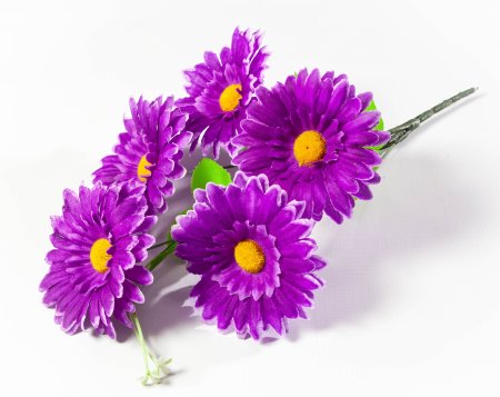 Букет ромашки "Аэлита" 5 веток 5 цветков