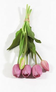 Букет тюльпанов 3+2 жимолость от магазина KALINA являющийся официальным дистрибьютором в России 