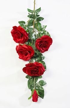 Роза "Звездочет" 4 цветка 1 бутон от магазина KALINA являющийся официальным дистрибьютором в России 