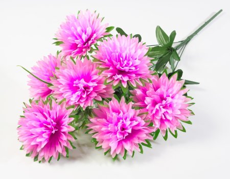 Хризантема "Мартиника" 7 цветков