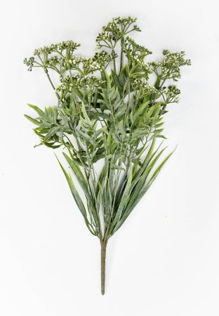 Тысячелистник белый