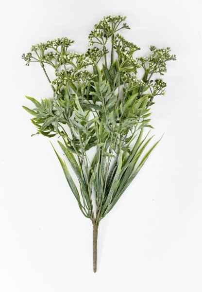 Тысячелистник белый