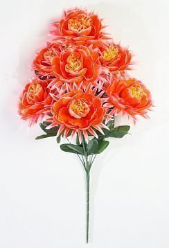 Пион "Парижанка" 7 цветков от магазина KALINA являющийся официальным дистрибьютором в России 