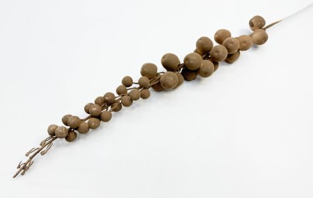 Ветка "Шоколадный бисквит"