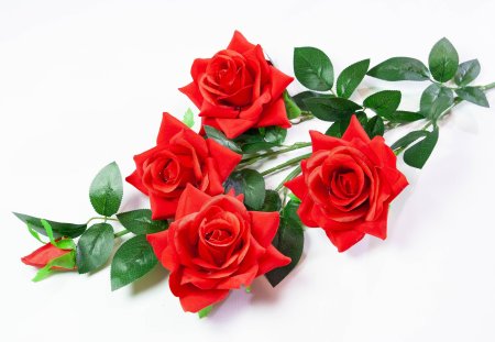 Ветка розы "Бургунди" 4 цветка