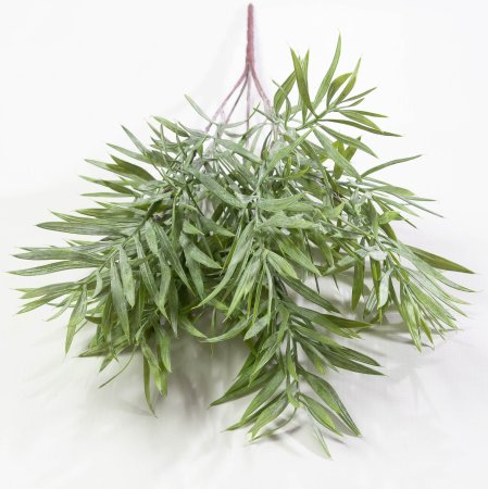 картинка Ветка розмарина от магазина KALINA