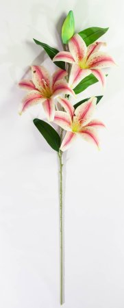 Ветка лилии высокая