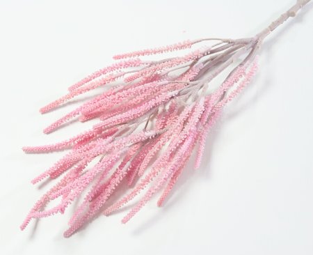 Ветка амаранта