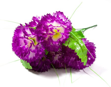 Букет гвоздики "Блеск" 7 цветков