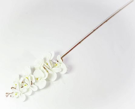 Ветка орхидеи "Клеопатра" 5 от магазина KALINA являющийся официальным дистрибьютором в России 