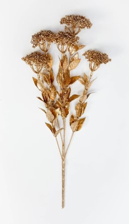 Тысячелистник золото