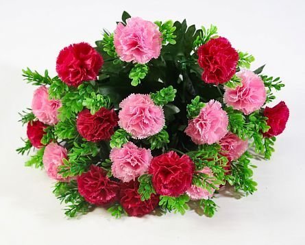 Гвоздика 18 цветков "Ванила" от магазина KALINA являющийся официальным дистрибьютором в России 