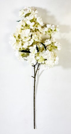 Ветка яблони "Мелба" белая