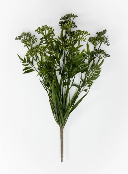 Тысячелистник зеленый