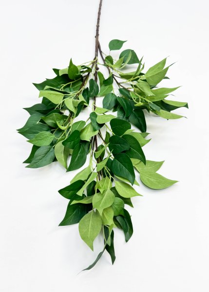 картинка Фикус ветка большая  от магазина KALINA