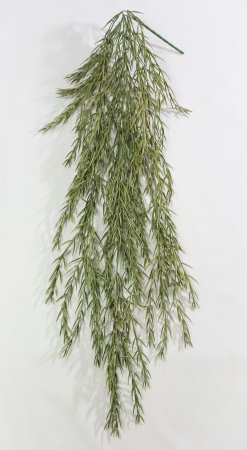 картинка Розмарин Осень от магазина KALINA