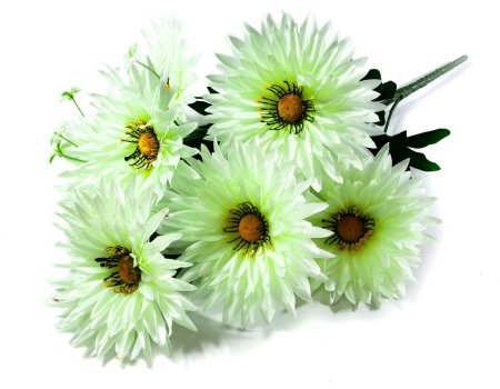 Букет астры Игла 7 веток 7 цветков