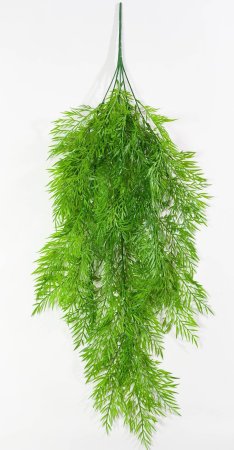 картинка Ампельная зелень "Флакорро 2" от магазина KALINA