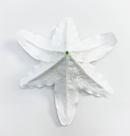 Насадка лилии латекс белая крупная
