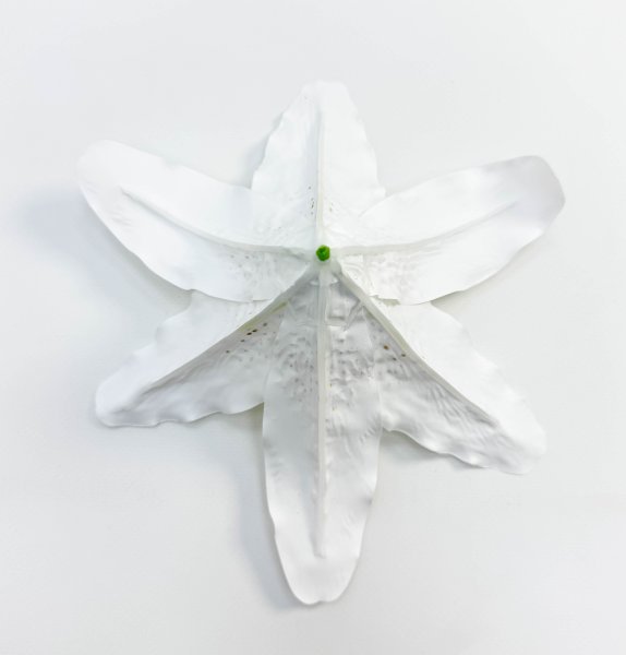Насадка лилии латекс белая крупная